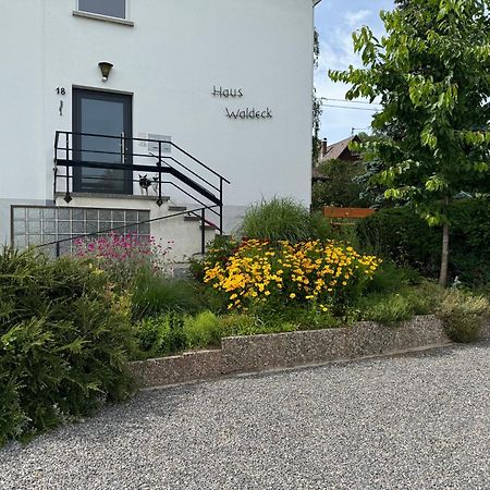 Appartamento Haus Waldeck Ühlingen-Birkendorf Esterno foto