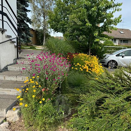 Appartamento Haus Waldeck Ühlingen-Birkendorf Esterno foto